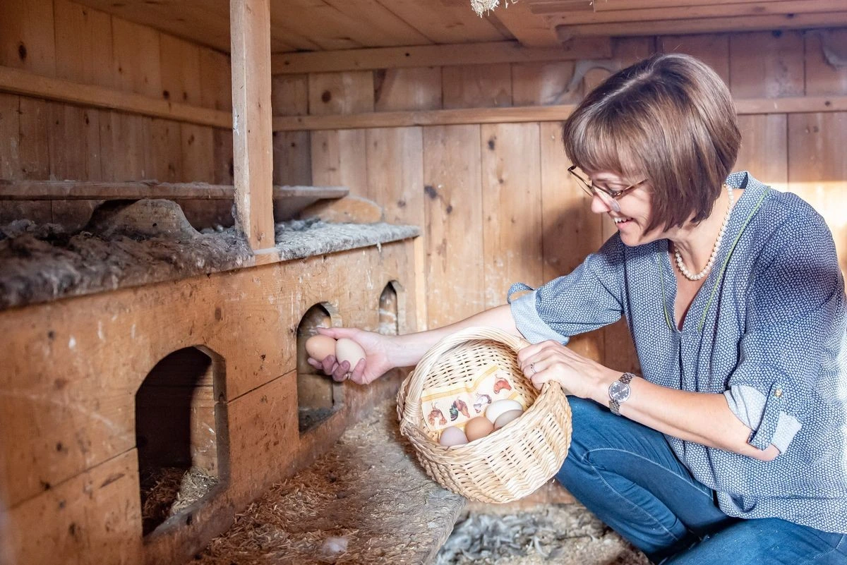 Frische Eier aus dem Hühnerstall