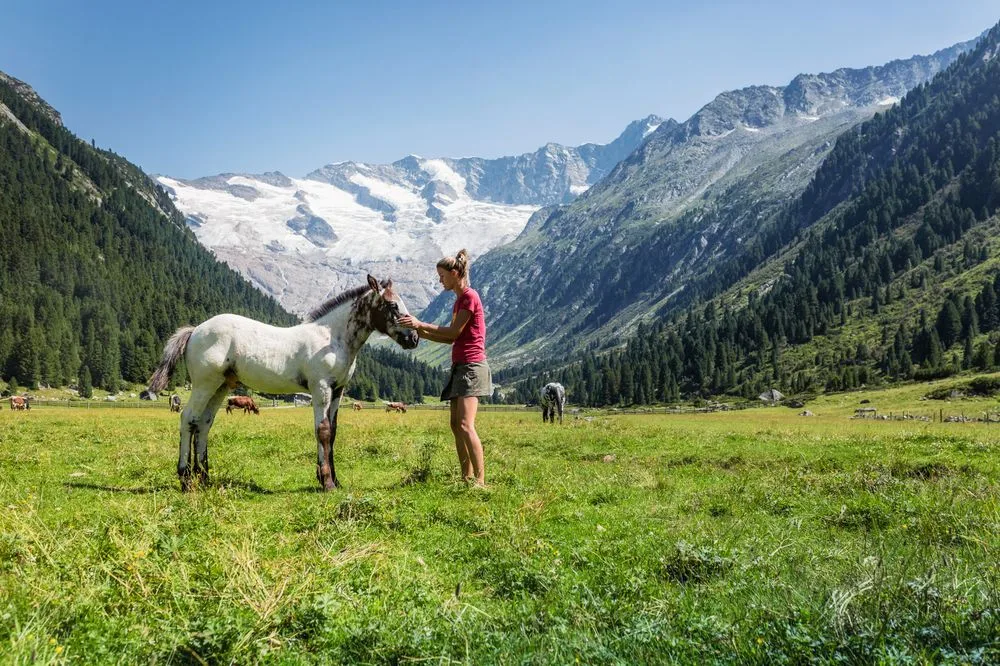 Wandern über Almwiesen mit Bergblick – Edenlehengut in Krimml