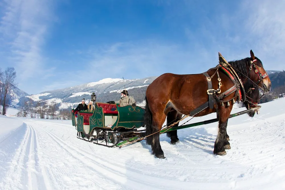 Pferdeschlittenfahrt im Winter – Edenlehengut in Krimml